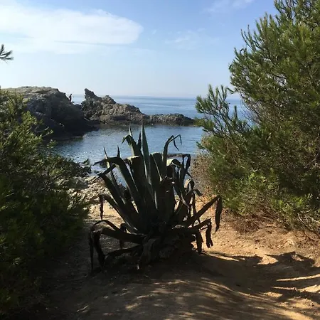 Villa Boost Your Immo Six Fours Les Plages Rayolet Nord 915 Six-Fours-les-Plages
